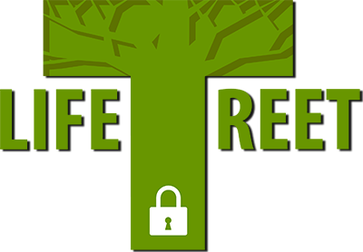 LifeTreet